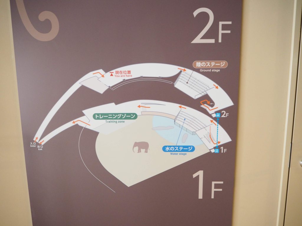 円山動物園のゾウ舎の見取り図