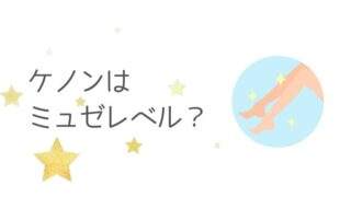 ケノンの美顔 スキンケア の注意とは シミには効果はあるのか検証してみた みゆの子育てライフ 一級建築士の専業主婦による子ども 家 知育